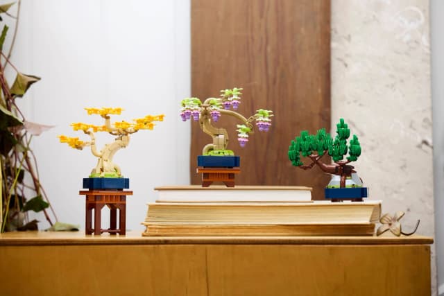 Mini Bonsai Trees - Image 4