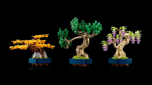 Mini Bonsai Trees - Image 9