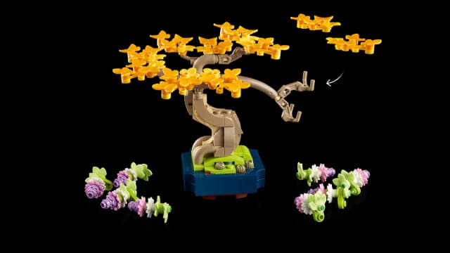 Mini Bonsai Trees - Image 8