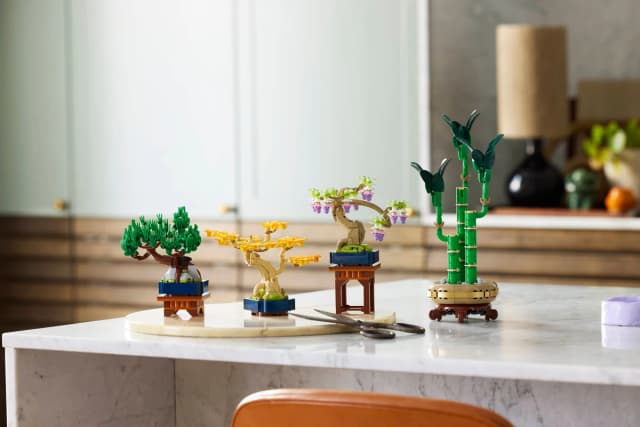 Mini Bonsai Trees - Image 12