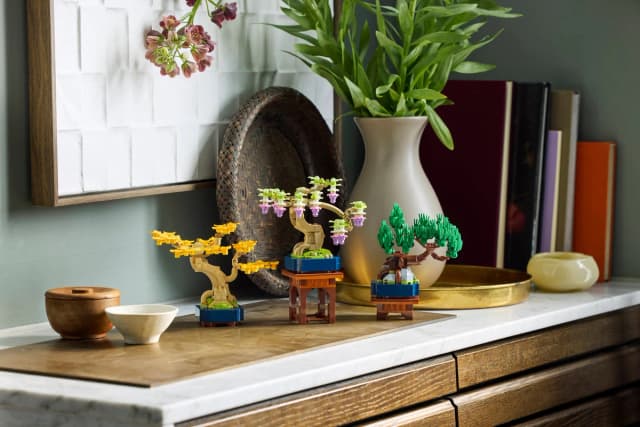 Mini Bonsai Trees - Image 15
