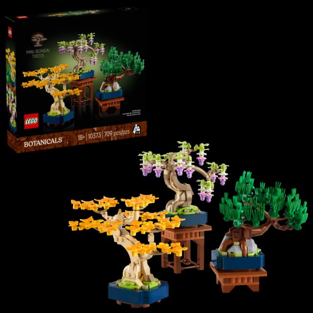 Mini Bonsai Trees - Image 14