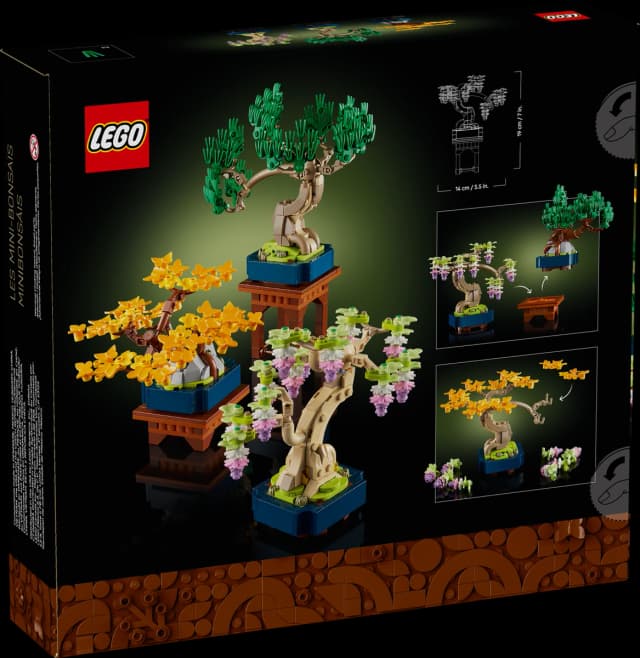 Mini Bonsai Trees - Image 5