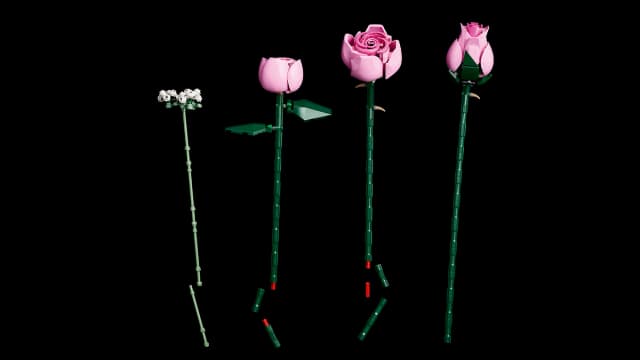 Bouquet of Pink Roses - Image 3