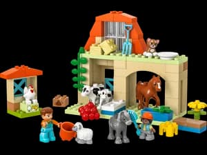 Caring for Animals at the Farm