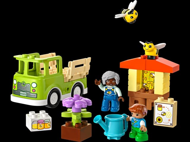 Caring for Bees & Beehives - Image 1