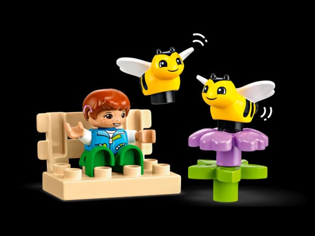 Caring for Bees & Beehives - Image 2