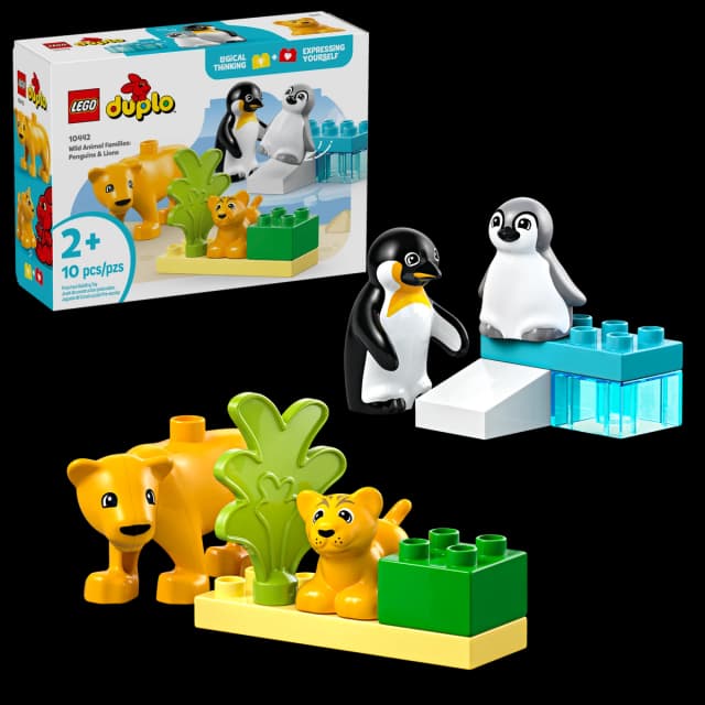 Wild Animal Families: Penguins & Lions - Image 2