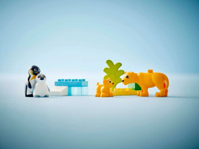 Wild Animal Families: Penguins & Lions - Image 3