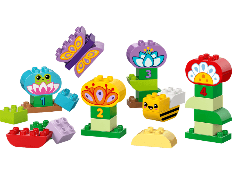 Creative Garden & Flowers