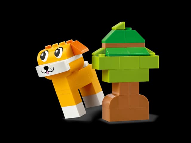 Creative Pets - Image 7