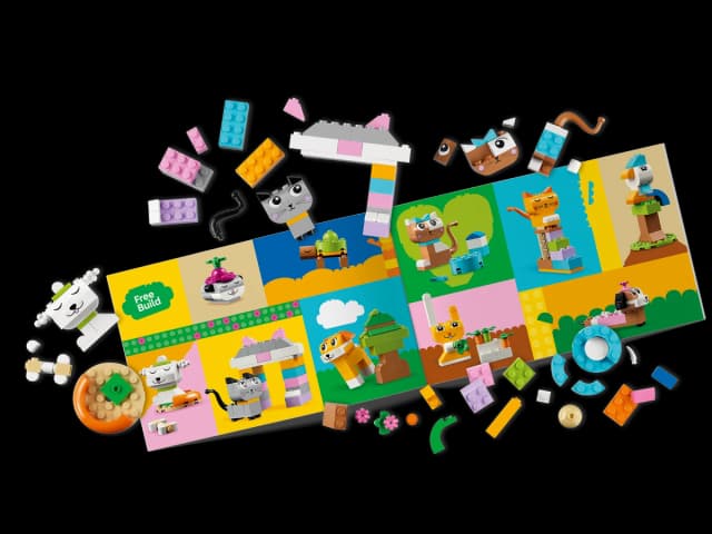 Creative Pets - Image 5