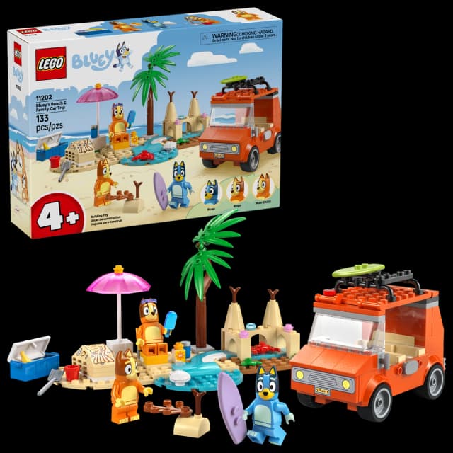 Bluey's Beach & Family Car Trip - Image 9