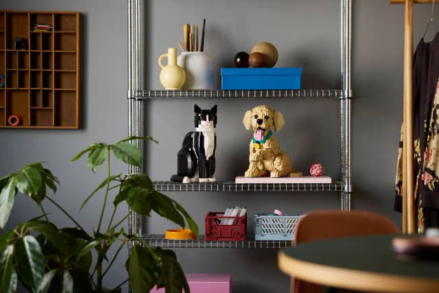 Golden Retriever Puppy - Image 9