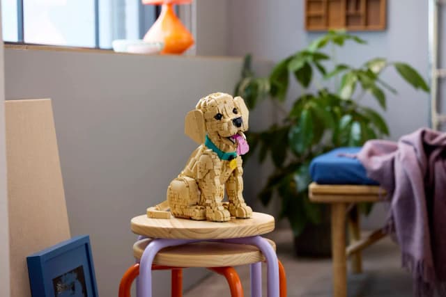 Golden Retriever Puppy - Image 15