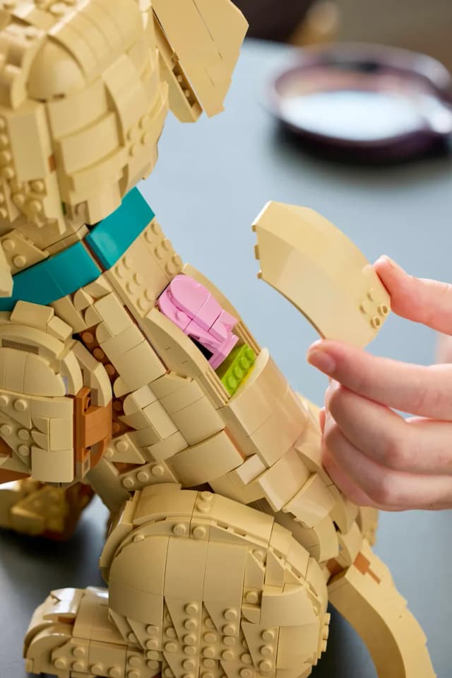 Golden Retriever Puppy - Image 18