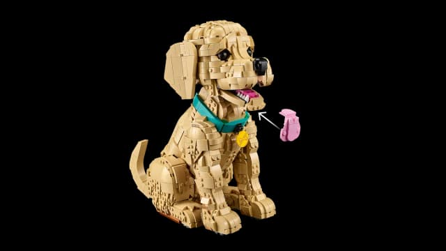 Golden Retriever Puppy - Image 5