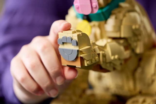 Golden Retriever Puppy - Image 7