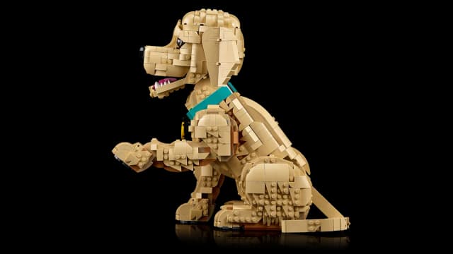 Golden Retriever Puppy - Image 8