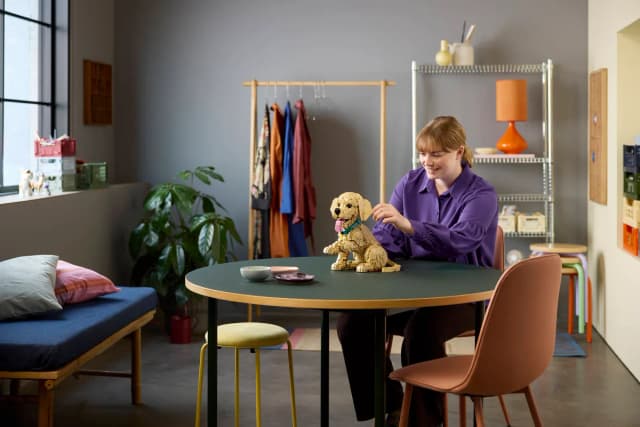 Golden Retriever Puppy - Image 4