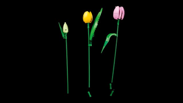 Tulip Bouquet - Image 5