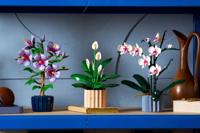 Peace Lily - Image 15