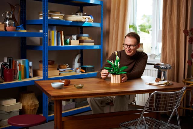 Peace Lily - Image 10