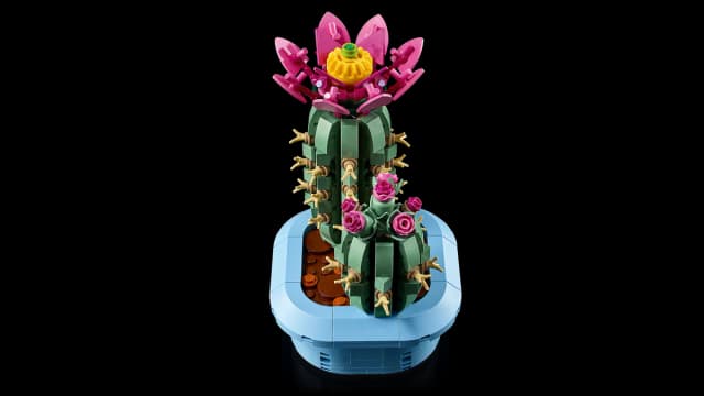 Flowering Cactus - Image 11