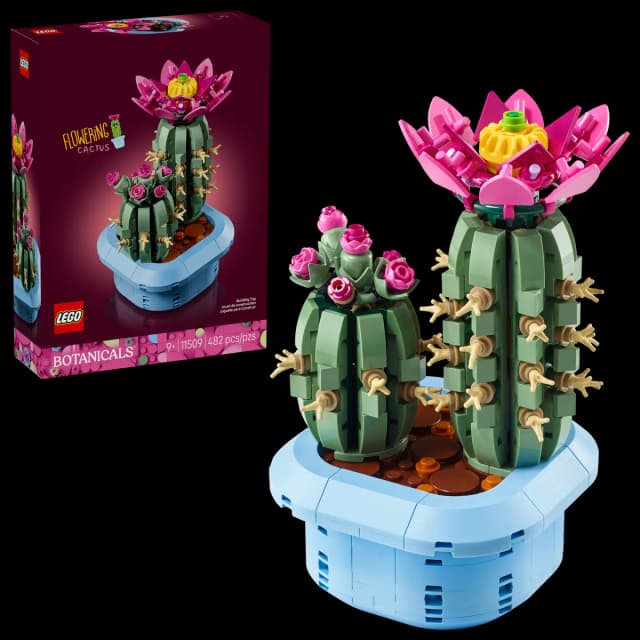 Flowering Cactus - Image 2
