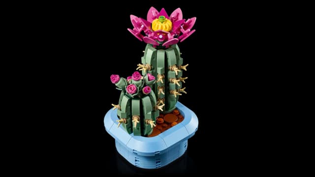 Flowering Cactus - Image 9