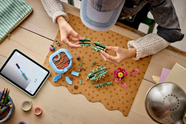 Flowering Cactus - Image 5