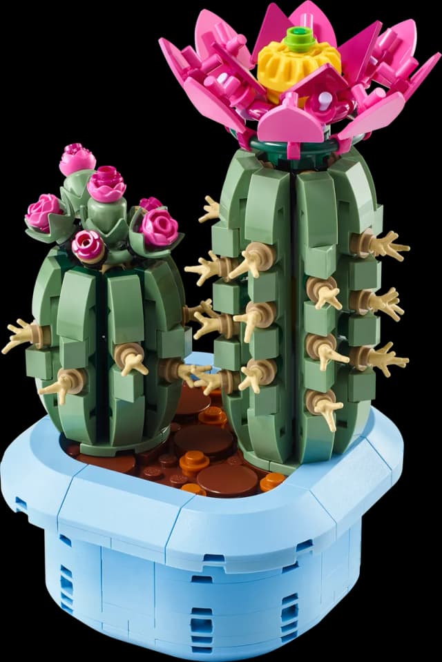 Flowering Cactus - Image 1