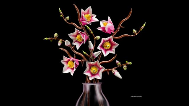 Magnolia Branches - Image 10