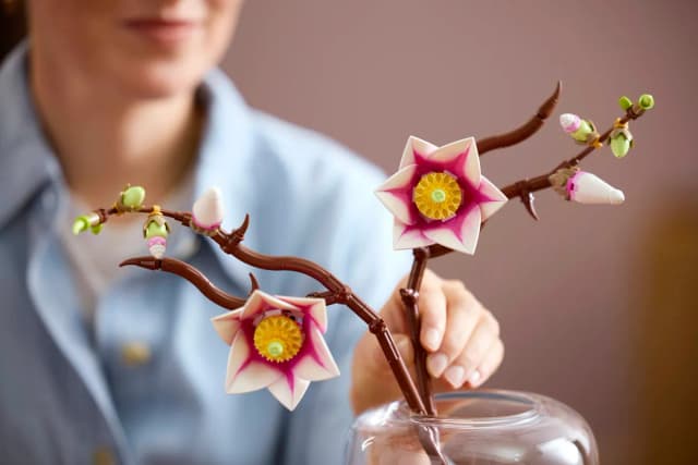 Magnolia Branches - Image 3