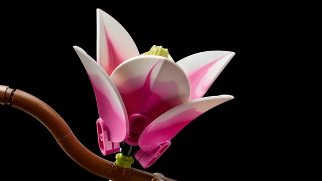 Magnolia Branches - Image 15