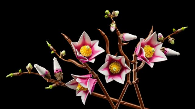 Magnolia Branches - Image 13