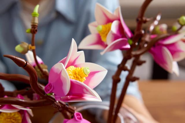 Magnolia Branches - Image 17