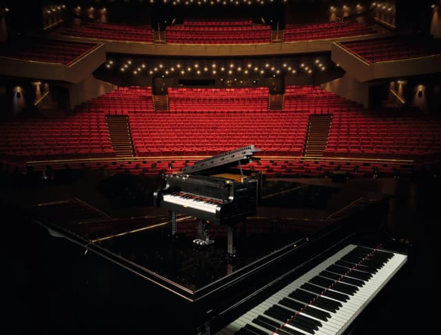 Grand Piano - Image 33