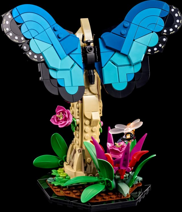 The Insect Collection - Image 10