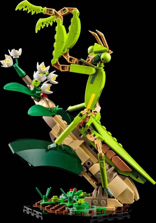 The Insect Collection - Image 2