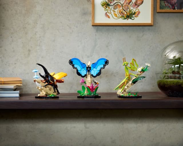 The Insect Collection - Image 4