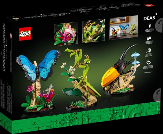 The Insect Collection - Image 3
