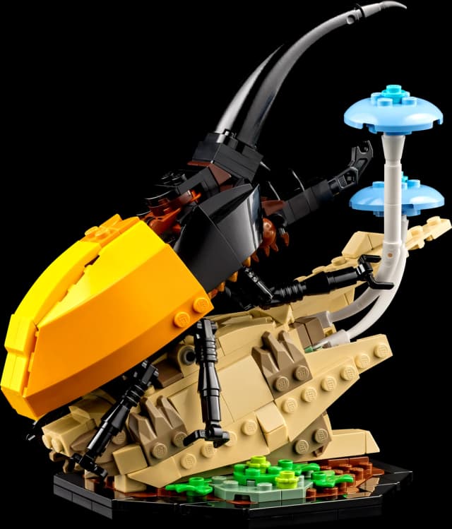 The Insect Collection - Image 5