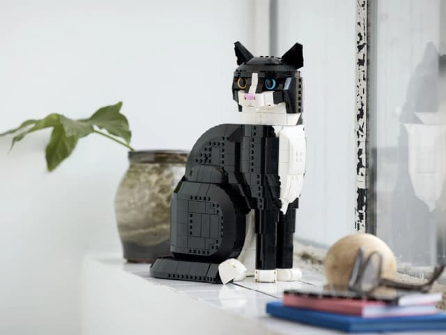 Tuxedo Cat - Image 3