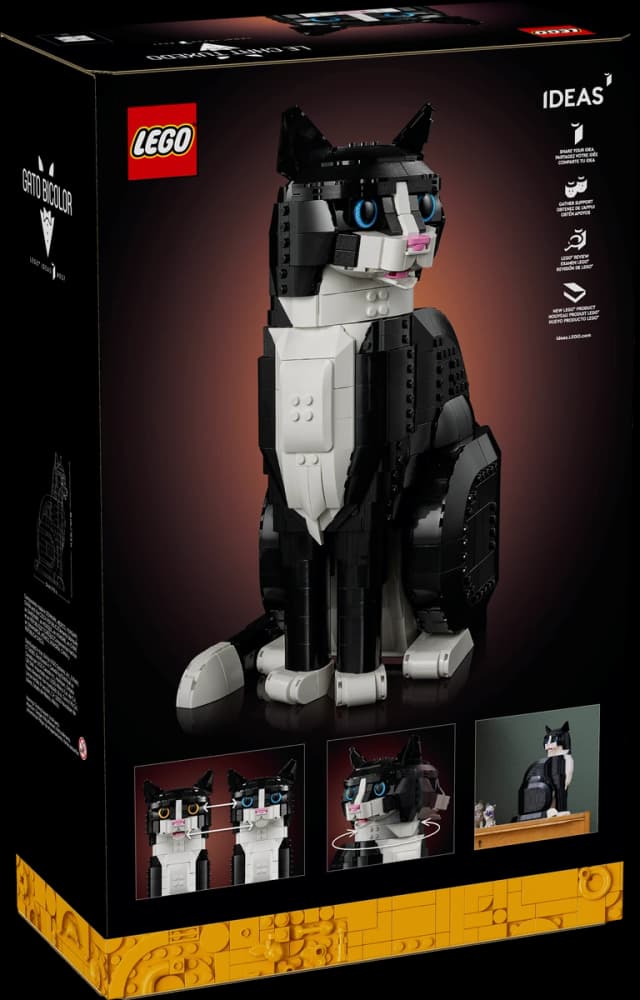 Tuxedo Cat - Image 10