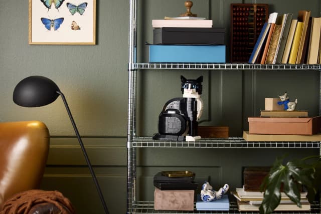 Tuxedo Cat - Image 5