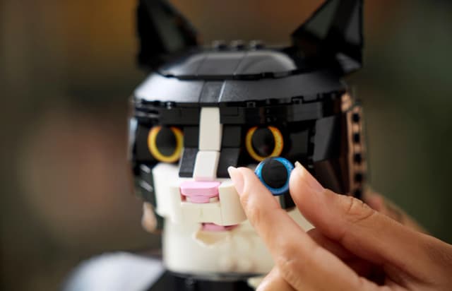 Tuxedo Cat - Image 7