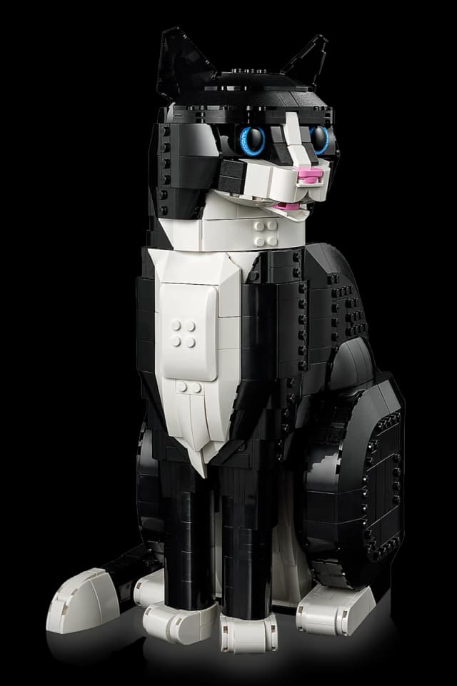 Tuxedo Cat - Image 2