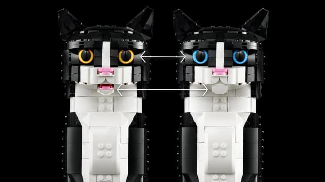Tuxedo Cat - Image 6