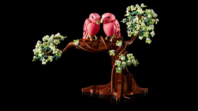 Love Birds - Image 12